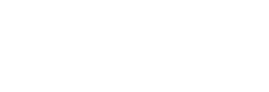 Fortune Trade Link